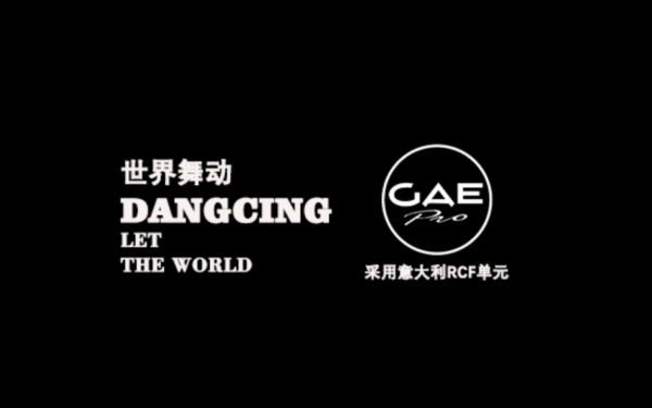 GAEpro音响 ：中型酒吧的理想之选