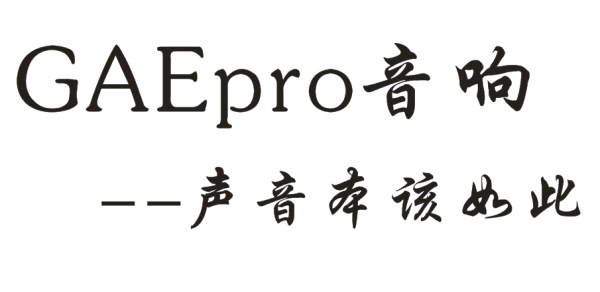 GAEpro 音响：IP线阵音箱成色抖音ios下载苹果版的独特魅力